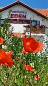 Hostal Pensiunea Eden