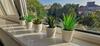 Apartamento Garsoniera Ultracentral