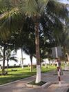 Apartment Thi�n Kim 26