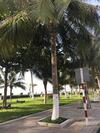 Apartment Thi�n Kim 18