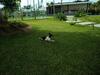 Para�so Playa Bonita- Roof Top