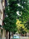 Apartamento Comfort Deluxe Flat
