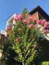 Apartamento St Marina Sozopol - Tiny Bijou Sea View Studio