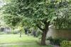 Hostal Hollybush Guest House