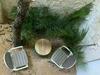 Bed & Breakfast Casa Koala II Ac, Sleeps 10, 2 Bikes, Hammock