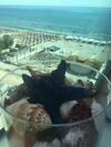 Velvet 64 Apartament Pe Plaja