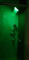 Apartamento Gringsapsaluguel206