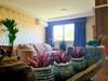 Apartamento Apto Centro Gramado - Aceita Pets
