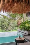 Villa Batukaru Private Pool Suite 1