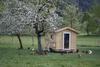Apartamento Biobauernhof Jagglhof