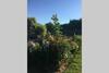 Apartamento Coeur De Combray (ifs Appartment)