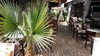 Hotel Malia Studios Apartments