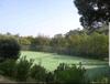 Apartamento Pampelonne Appartment