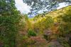 Mountain Top Tranquility
