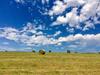 Hostal La Cordilli�re