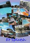 Mobil Home Florida - Camping Les Cigales - 4 �toiles