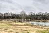 Pet Friendly Milk Barn Cottage On 15 Acres!