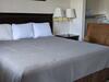Motel Reelfoot Lake Inn