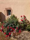 La Maison Des Rosiers