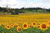 Cosy Medieval Village House Mons�gur