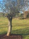 Bed & Breakfast Chambre D'h�tes Les Grillons