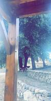 Agroturismo La Bergerie Du Ch�ne