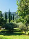 Bed & Breakfast Le Champ Des Oliviers