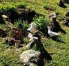 G�te Le Mazot De Vouan