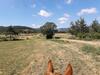 Bed & Breakfast The Goldy's Farm - Ferme de La Combe