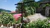 Chambre Priv�e Chez L'habitant
