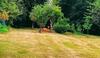 Bed & Breakfast Maison Grandsire Chambres D'h�tes