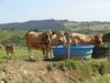 G�te Saint-marcel-d'urf�, 4 Pi�ces, 5 Personnes - Fr-1-496-235