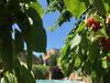 Bed & Breakfast Les Aigui�res En Provence
