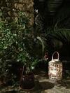 Bed & Breakfast Les Aigui�res En Provence