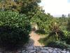 Bed & Breakfast La Haie � Cerf