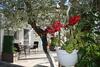 Apartamento Garden Rooms