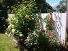 Chalet Toutou 12/14 Personnes
