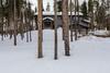 Big Bear Palace