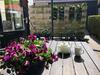 Apartamento De Eerste Stuiver