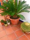Apartamento Vila Fidalgo