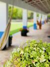 Agroturismo Monte Do Lago, Peg�es