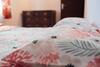Perfect Vacation - Mountain And City - Penhas Da Sa�de/serra Da Estrela