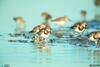 Hibiscus Pointe 764 By Kathy Nesbit Vacations