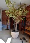 Hostal Penzion Bejby Turnov