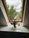 Apartamento Rheingau - Sch�ne M�blierte Ferienwohnung