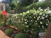 Recanto Tia S�o Magalh�es