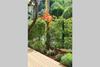 Recanto Tia S�o Magalh�es
