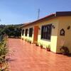 Lovely 3-bed Cottage In Ribeira Brava