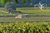 Bed & Breakfast Chateau De Sainte Croix