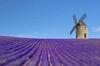 Le Bastidon Du Luberon